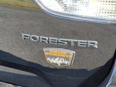 2023 Subaru Forester Wilderness