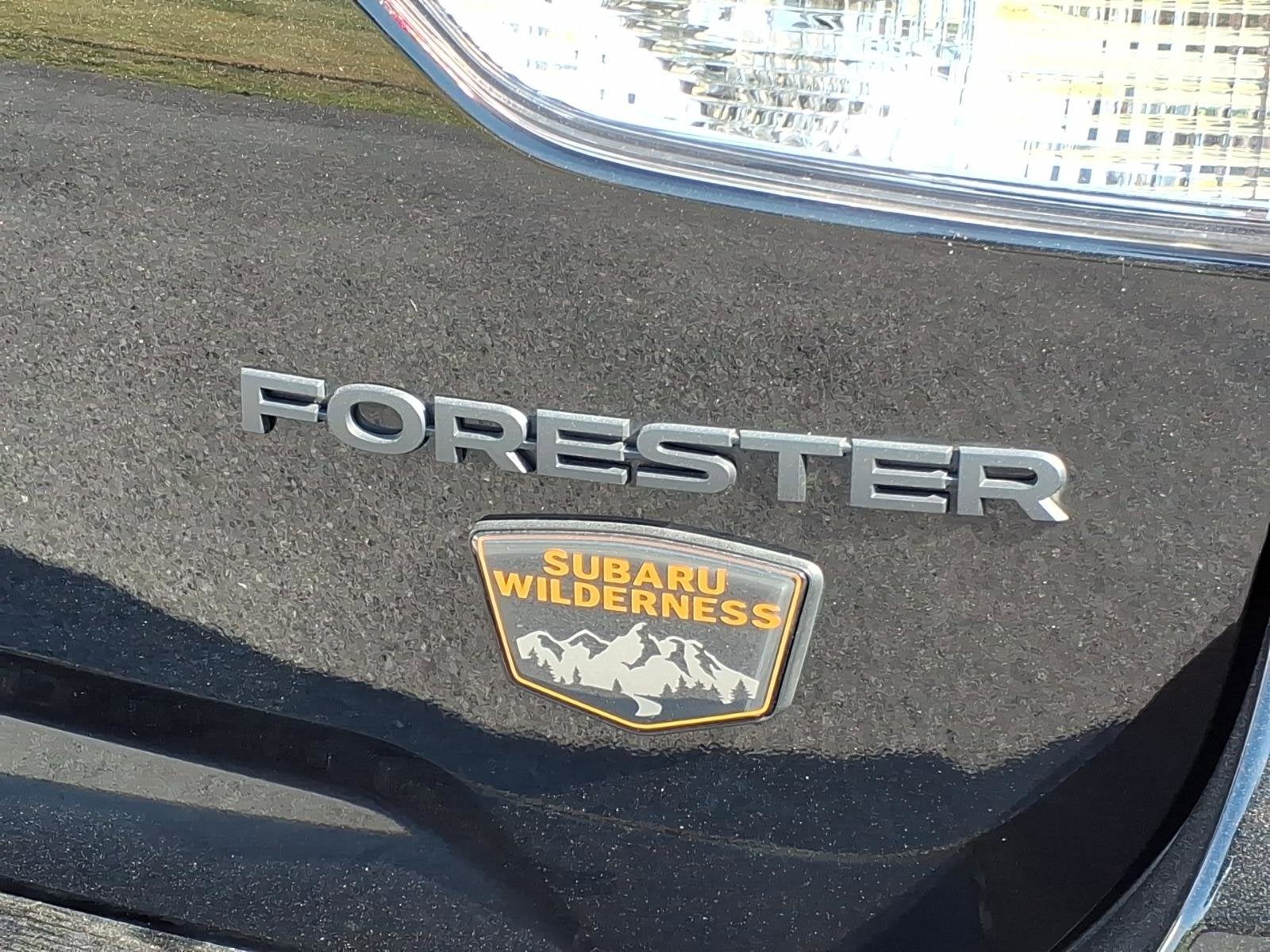 2023 Subaru Forester Wilderness